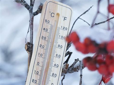 Ochrana poteru v zimnom období pred nízkymi teplotami