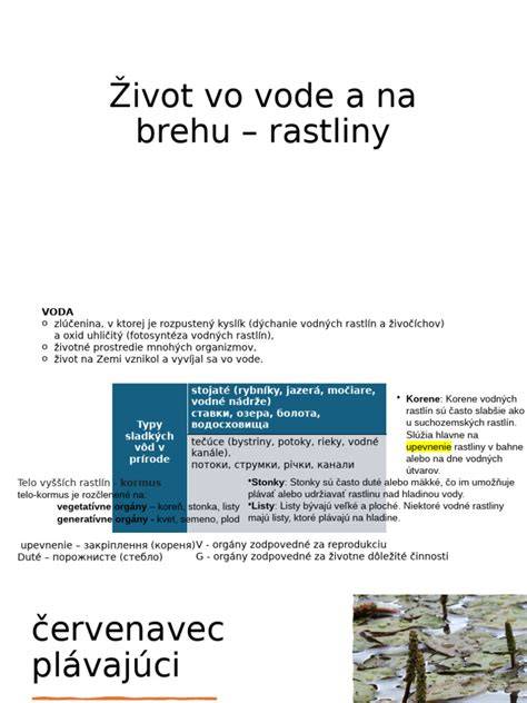 Ilustrácia cvičení vo vode na rehabilitáciu členku