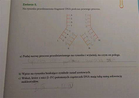schéma procesu izolácie DNA z buniek