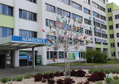 Pôdorys nemocnice s vyznačením oddelení