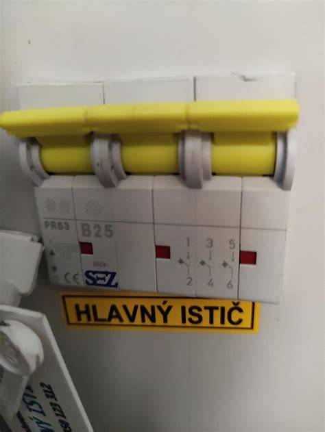 Symbol hlavného ističa a plomby