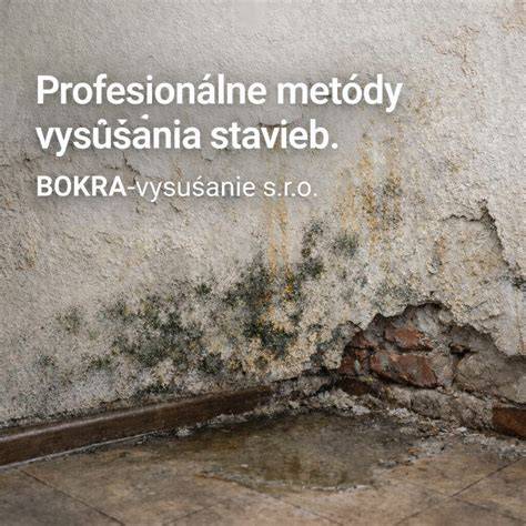 Poškodenie muriva v dôsledku chýbajúcej hydroizolácie