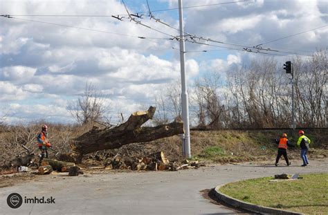 Odborník posudzujúci geologické podmienky pred výstavbou