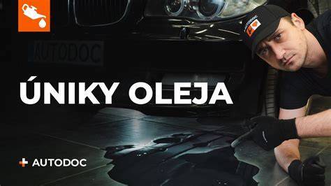 Znaky úniku oleja z motora (škvrny na vozovke, mastnota na bloku motora)