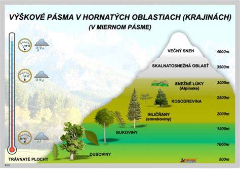 Infografika znázorňujúca starostlivosť o drevo v závislosti od nadmorskej výšky