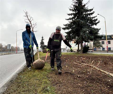 Návrh revitalizácie oblasti Filiálky na zelený verejný priestor