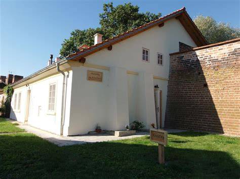 Detailná fotografia sanačných prác na hradbách s využitím vápenných zmesí