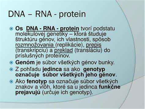 infografika procesov opravy DNA v bunke