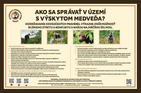 infografika: čo robiť pri stretnutí s medveďom