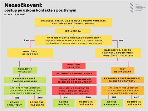 Infografika zobrazujúca postup pri ponornom vibrovaní