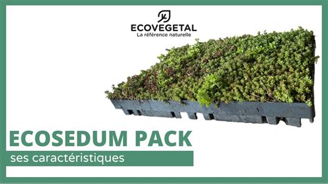 Detailné zobrazenie modulárneho systému ECOSEDUM® PACK na streche