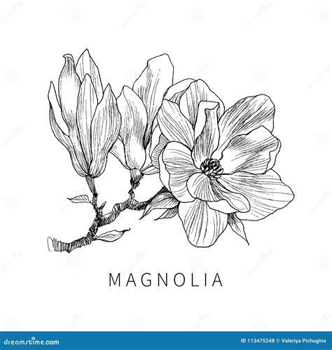 Schéma rozmerov vane Magnolia