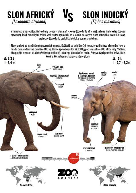 Infografika: Rozdiel medzi brúskou a frézou