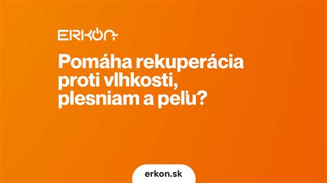 Schéma ochrany trámového záhlavia proti vlhkosti a plesniam