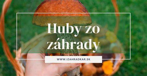 Druhy drevokazného hmyzu a húb
