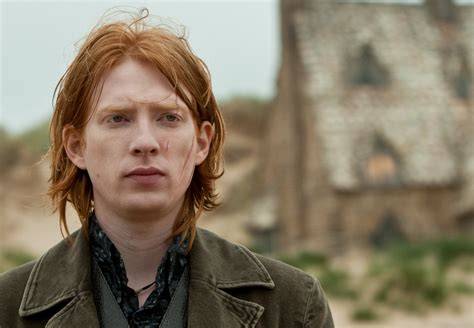 Charlie Weasley krotí draka