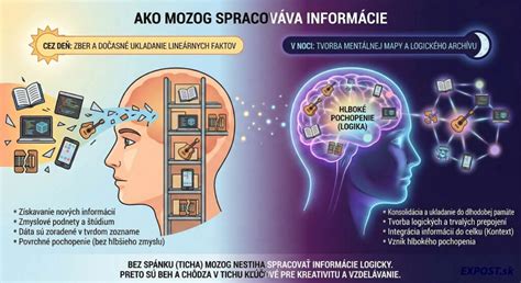 Infografika: Príklady informácií, ktoré možno žiadať