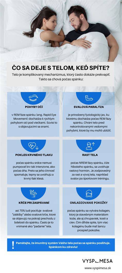 Infografika: Fázy splyňovania dreva v kotli
