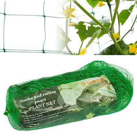 Pletivo Plastiról ako opora pre popínavé rastliny