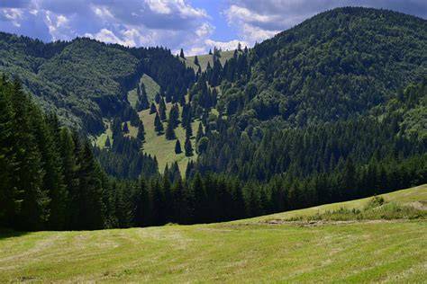 Zimná panoráma zasnežených roklín v Slovenskom raji