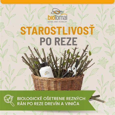 Ošetrenie rezných rán na strome tmelom