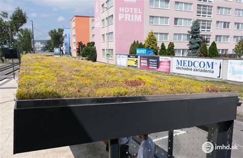 Rozchodníkový koberec na extenzívnej streche