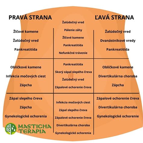 Mapa ľudských orgánov s vyznačením ľavej strany brucha