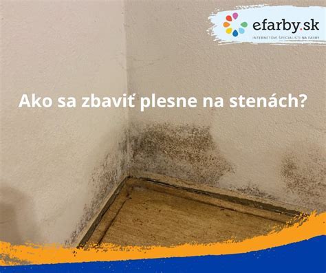Rôzne typy plesní na stenách a ich farby