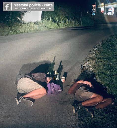 Zvodidlové držadlo na cestnej komunikácii