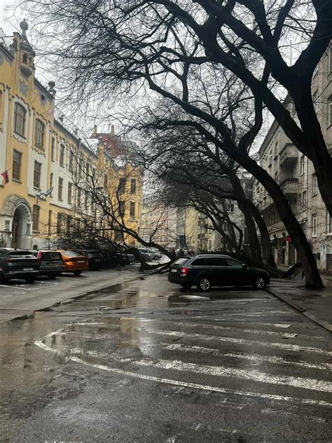 Silné poškodenie strechy auta po páde stromu