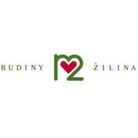 rudiny